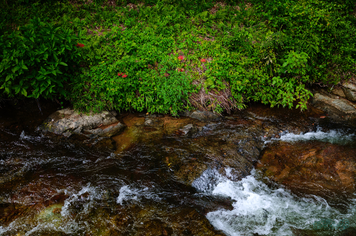 SDIM3559,35 mm,F1.2,1-4000 秒,iso100(JPEG).jpg