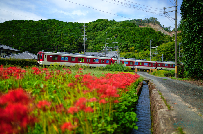 SDIM3584co,35 mm,F1.2,iso100(JPEG).jpg