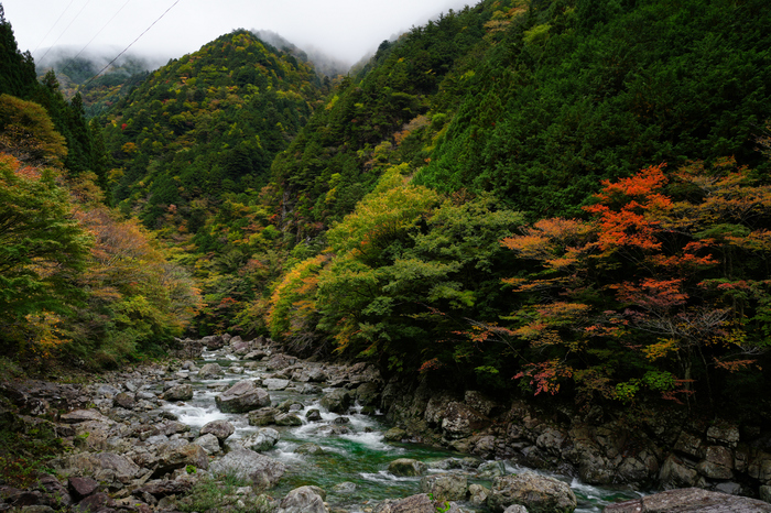 7RV00531co,25 mm,F13,iso100(JPEG).jpg