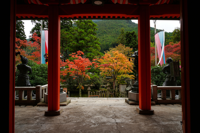 7RV00608co,25 mm,F10,iso100(JPEG).jpg