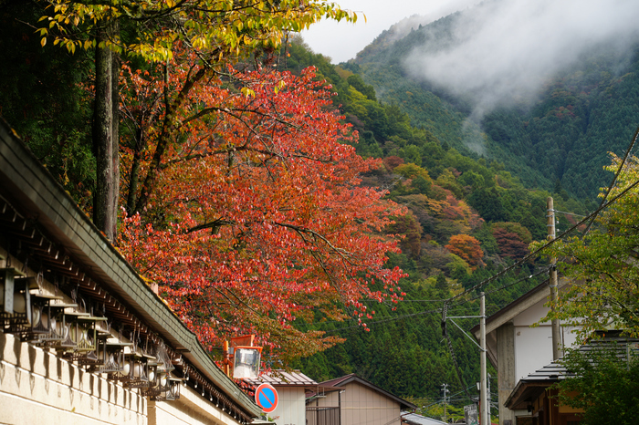 7RV00675co,114 mm,F10,iso100(JPEG).jpg