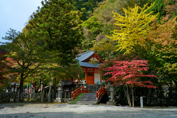 7RV00813co,32 mm,F9,iso100(SRAW).jpg