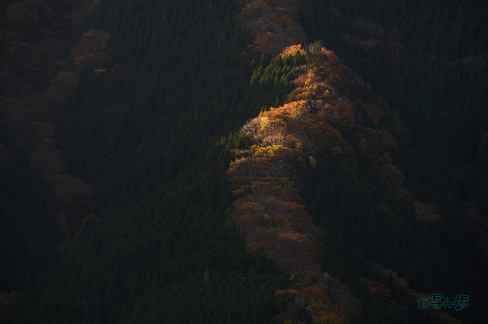 7RV01537co,200 mm,F9,iso100(SRAW).jpg