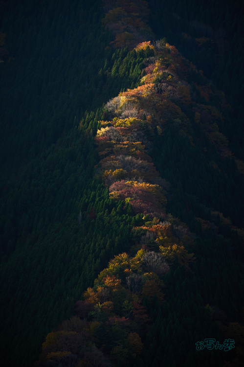 7RV01620co,200 mm,F9,iso100(SRAW).jpg