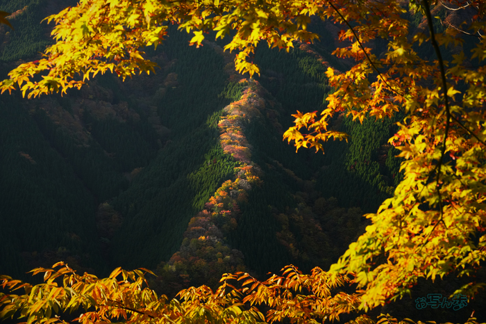 7RV01710co,70 mm,F13,iso500(JPEG).jpg