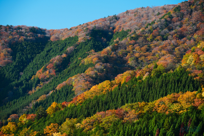 7RV01744,153 mm,F9,1-20 秒,iso100(JPEG).jpg