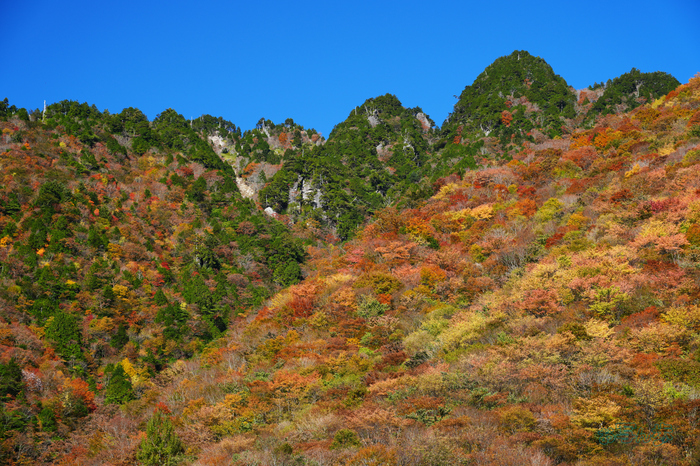 7RV02063co,85 mm,F9,iso100(JPEG).jpg