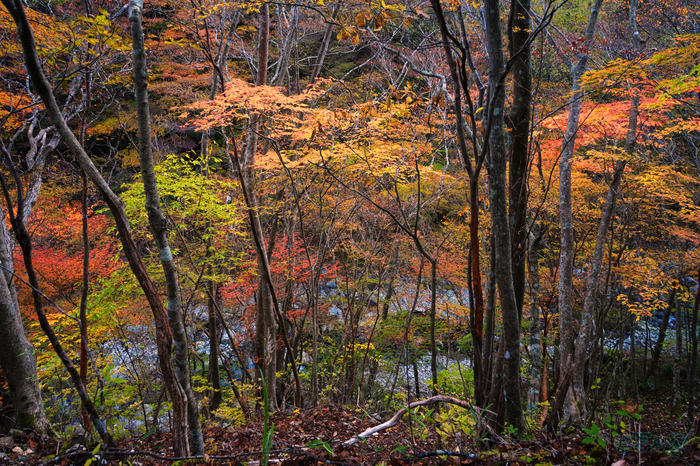 7RV02090,25 mm,F9,1-4 秒,iso200(JPEG).jpg