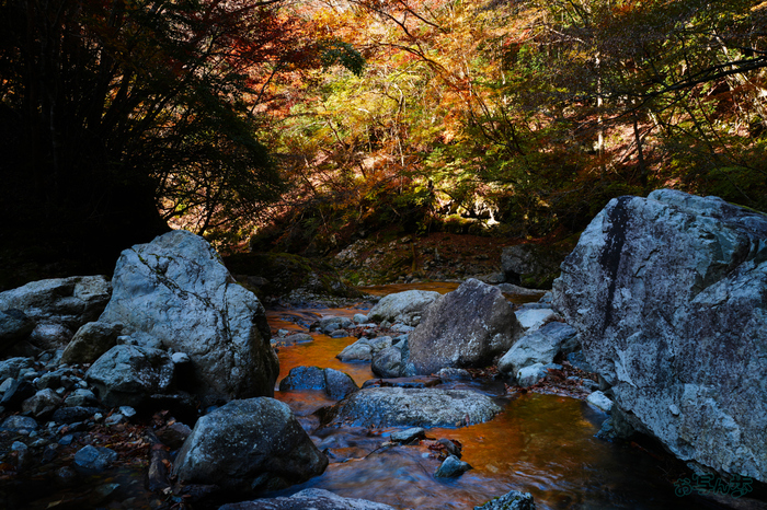 7RV02390,31 mm,F14,0.4 秒,iso100(JPEG).jpg