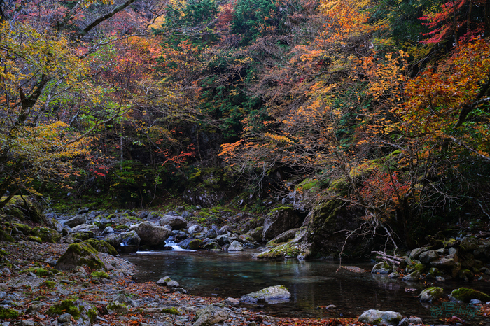 7RV02425,36 mm,F8,1-4 秒,iso100(JPEG).jpg