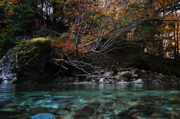 7RV02445co,25 mm,F8,iso400(JPEG).jpg