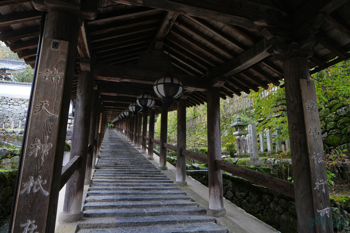 7RV09144,24 mm,F10,1-30 秒,iso800(JPEG).jpg