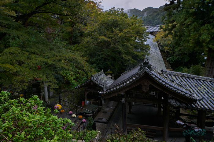 7RV09287co,24 mm,F10,iso160(SRAW).jpg