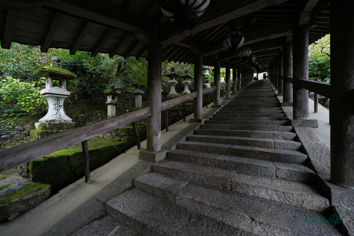 7RV09395co,14 mm,F11,iso2500(JPEG).jpg