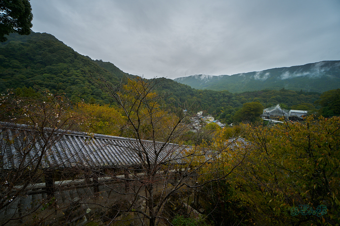 7RV09556co,14 mm,F2.8,iso100(SRAW).jpg