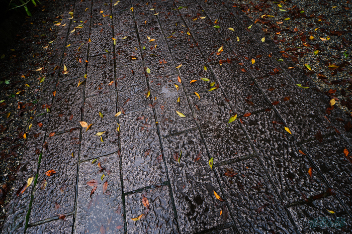 7RV09660,14 mm,F6.3,1-30 秒,iso200(JPEG).jpg