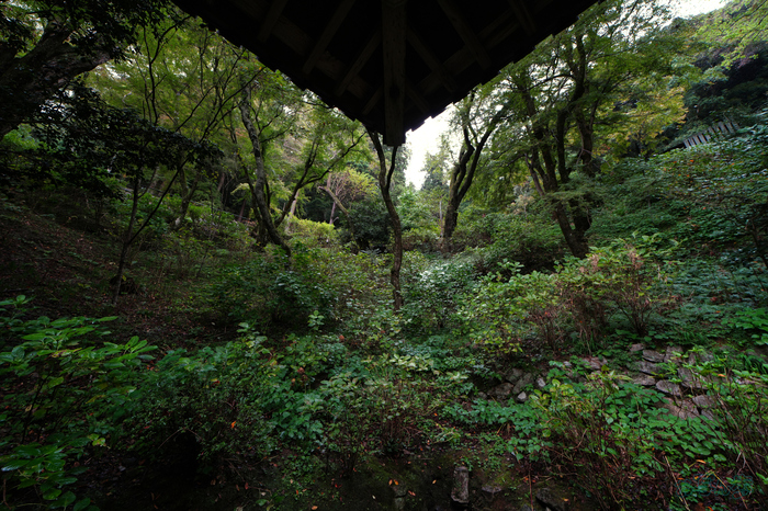 7RV09666,14 mm,F6.3,1-30 秒,iso400(JPEG).jpg