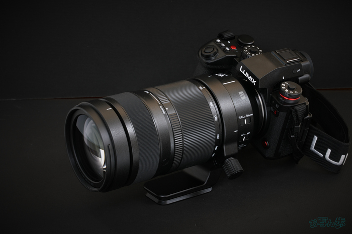 LUMIX S 100-500mm F5-7.1_001.jpg