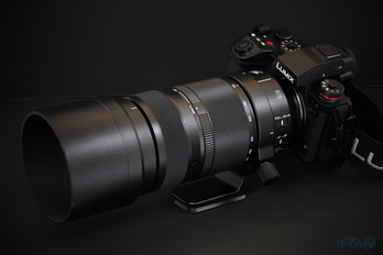 LUMIX S 100-500mm F5-7.1_002.jpg