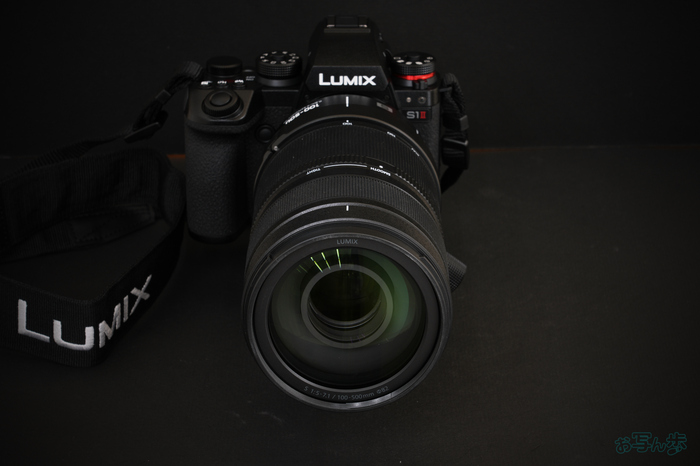 LUMIX S 100-500mm F5-7.1_004.jpg