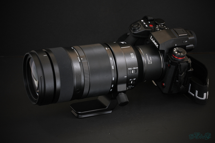 LUMIX S 100-500mm F5-7.1_005.jpg