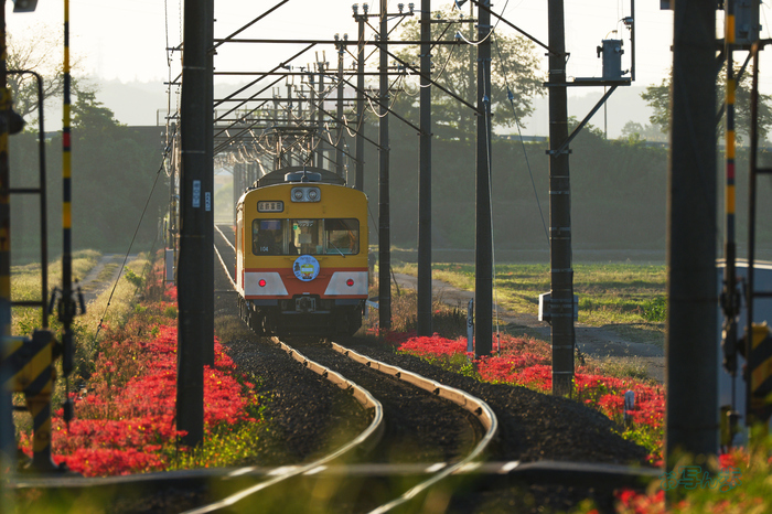 P1083949co,500 mm,F9,iso400(JPEG).jpg