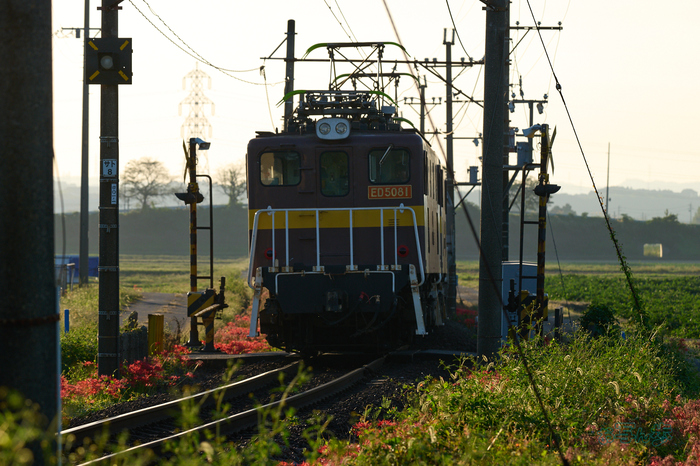 P1084014co,220 mm,F9,iso400(RAW).jpg