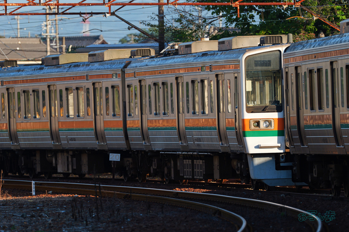 P1084102co,500 mm,F9,iso500(JPEG).jpg