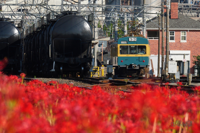 P1084233co,500 mm,F36,iso5000(JPEG).jpg