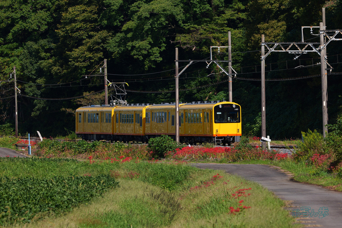 P1084795co,285 mm,F8,iso800(JPEG).jpg