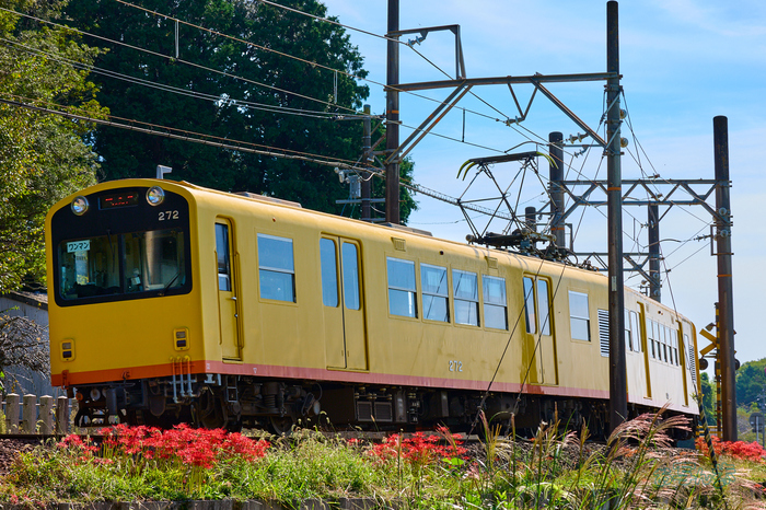 P1084837co,100 mm,F10,iso400(RAW)_1.jpg