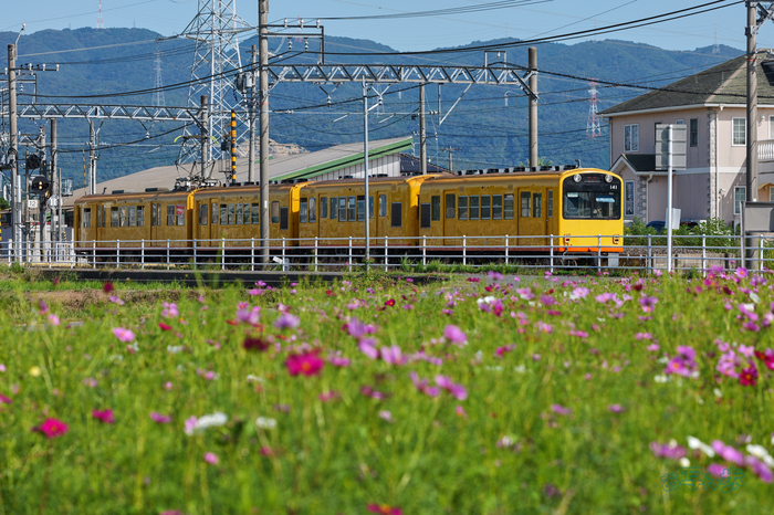 P1094898co,153 mm,F8,iso400(JPEG).jpg