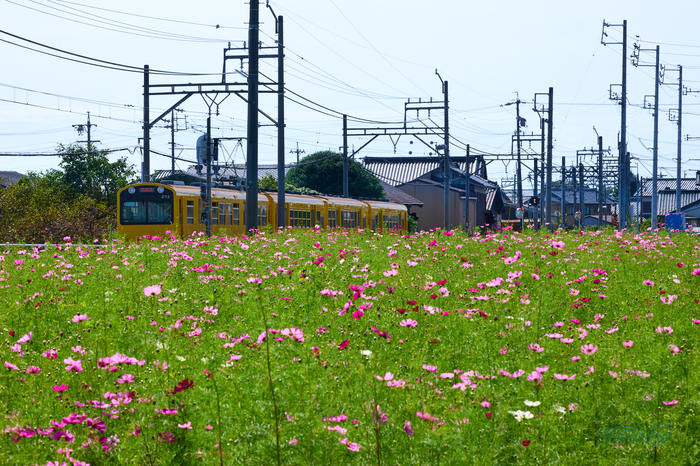 P1094988co,136 mm,F20,iso400(RAW).jpg