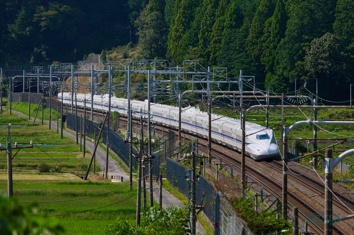 P1095114co,257 mm,F7.1,iso800(RAW).jpg