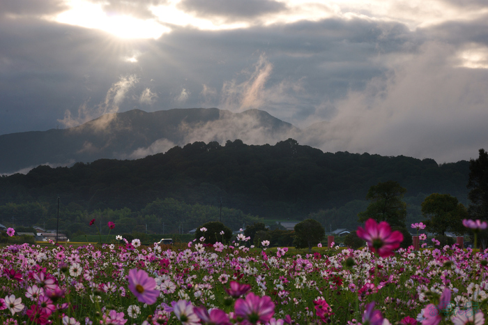 P1095435,100 mm,F25,1-125 秒,iso800(JPEG).jpg