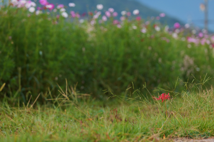 P1095593,218 mm,F6.3,1-250 秒,iso320(JPEG).jpg