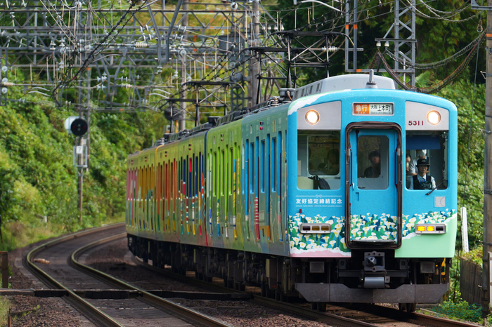 P1095895,500 mm,F8,1-1000 秒,iso2000(JPEG).jpg