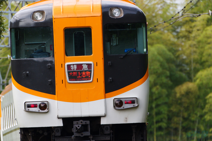 P1096001,500 mm,F8,1-400 秒,iso3200(JPEG).jpg