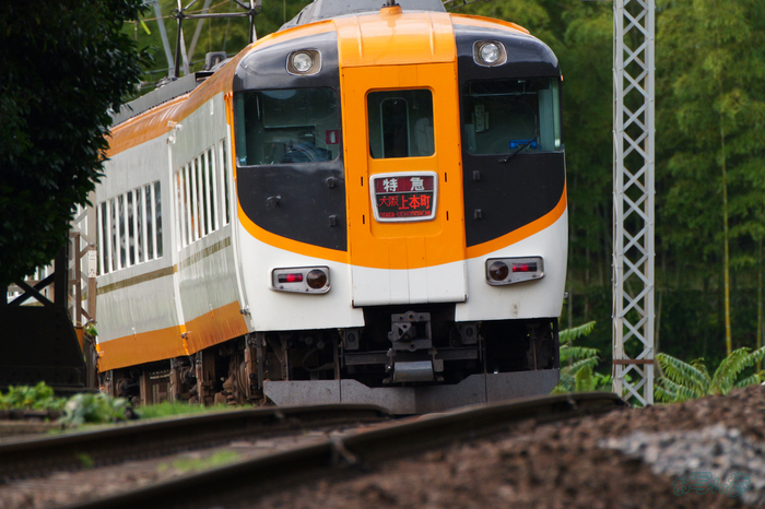 P1096013,500 mm,F8,1-500 秒,iso3200(JPEG).jpg