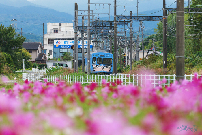 P1096063,500 mm,F8,1-4000 秒,iso3200(JPEG).jpg