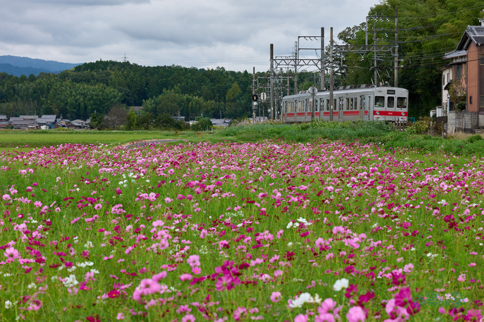 P1106232co,100 mm,F9,iso800(RAW).jpg