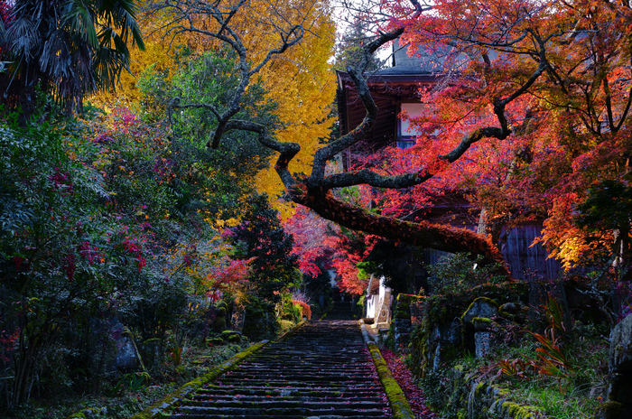 SDIM6800,53 mm,F9,1-50 秒,iso320(JPEG).jpg