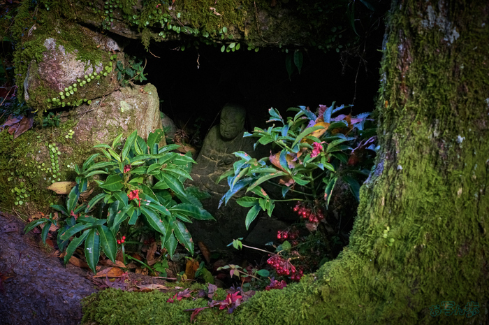 SDIM6842,71 mm,F13,1-80 秒,iso2500(DNG).jpg