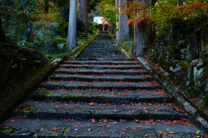 SDIM6854,36 mm,F11,1-40 秒,iso1250(JPEG).jpg