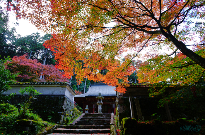 SDIM6868,20 mm,F9,1-20 秒,iso320(JPEG).jpg