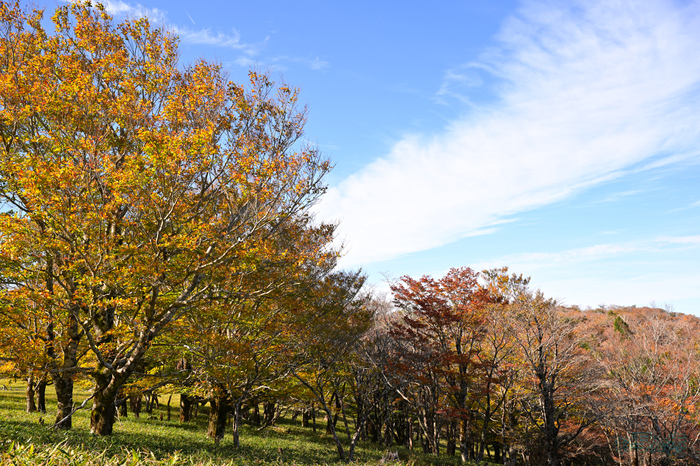 DSC_1214,34 mm,F8,1-125 秒,iso100(JPEG).jpg