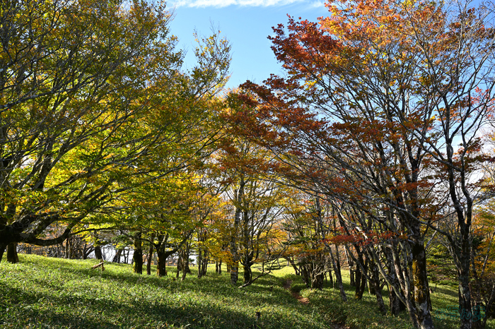 DSC_1221,32 mm,F11,1-40 秒,iso100(JPEG).jpg