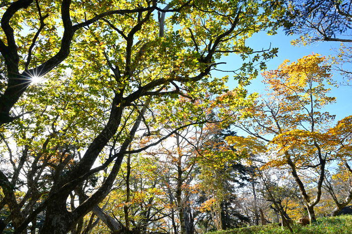 DSC_1313,24 mm,F22,1-25 秒,iso360(JPEG).jpg