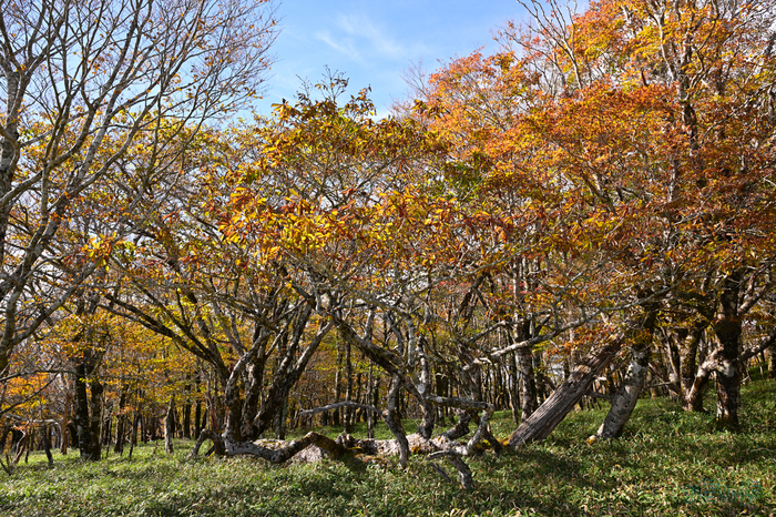 DSC_1353,27 mm,F9,1-80 秒,iso100(JPEG).jpg