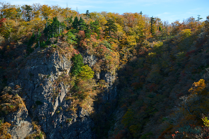 DSC_1401co,49 mm,F8,iso100(High efficiency  RAW).jpg